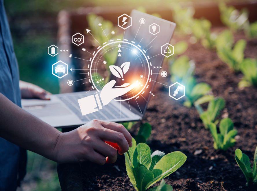 Smart Agriculture